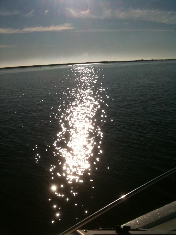 Morning Sun on the Water